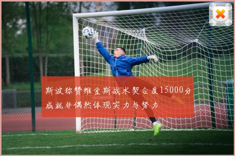 斯波称赞维金斯战术契合度15000分成就非偶然体现实力与努力