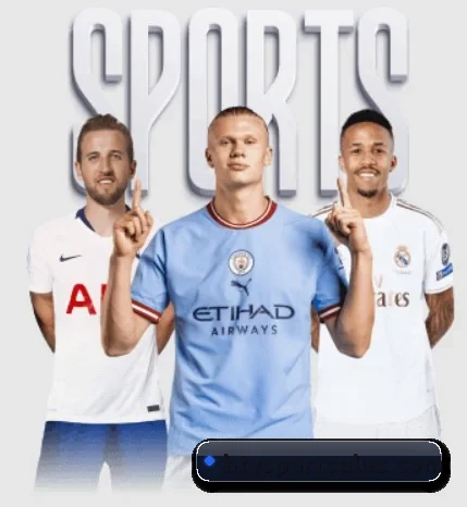 B体育 APP